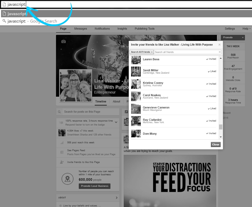 fb fan page